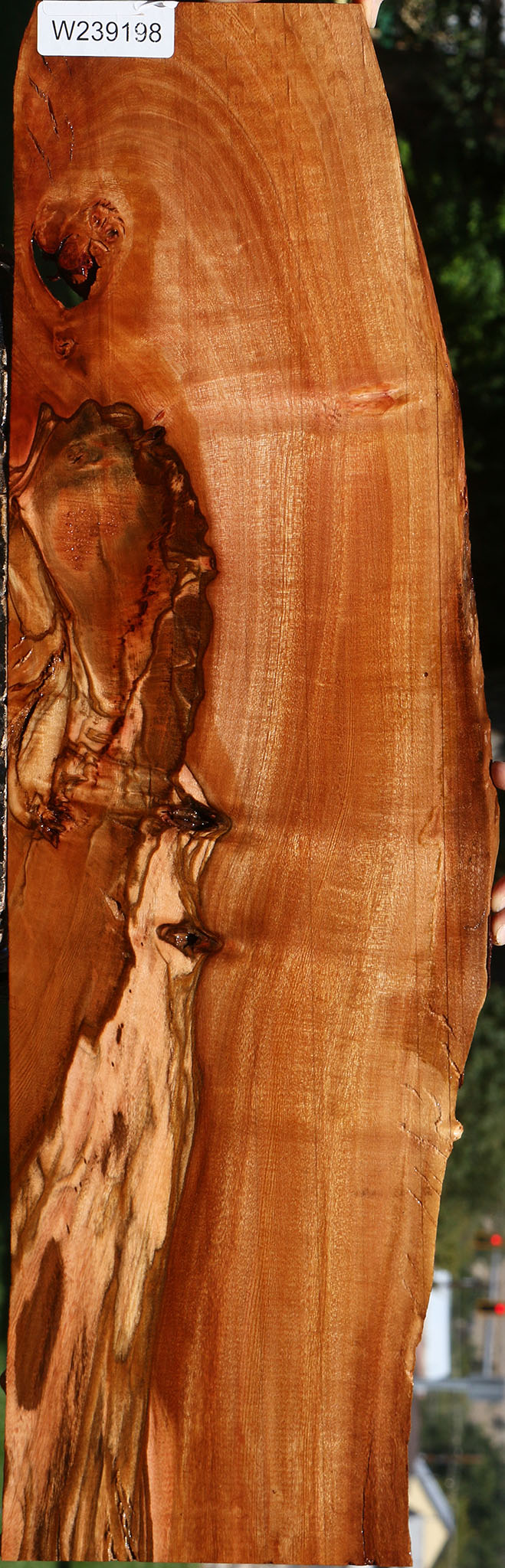 Extra Fancy Brazilian Pepperwood Live Edge Micro Lumber