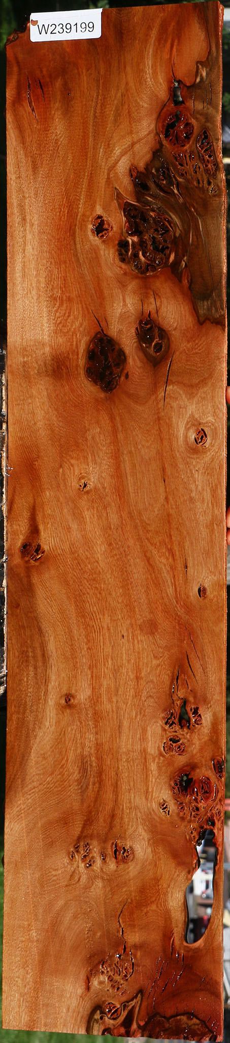 Extra Fancy Rustic Brazilian Pepperwood Lumber