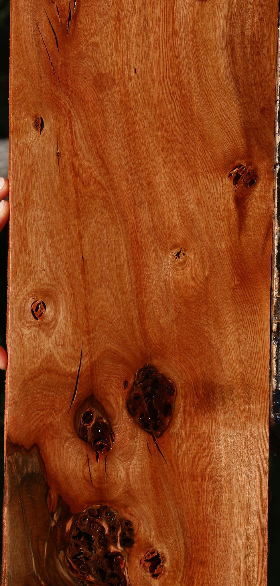 Extra Fancy Rustic Brazilian Pepperwood Lumber