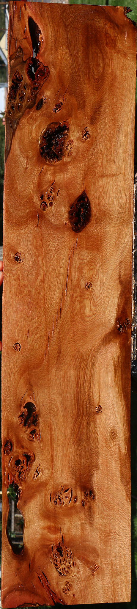 Extra Fancy Rustic Brazilian Pepperwood Lumber