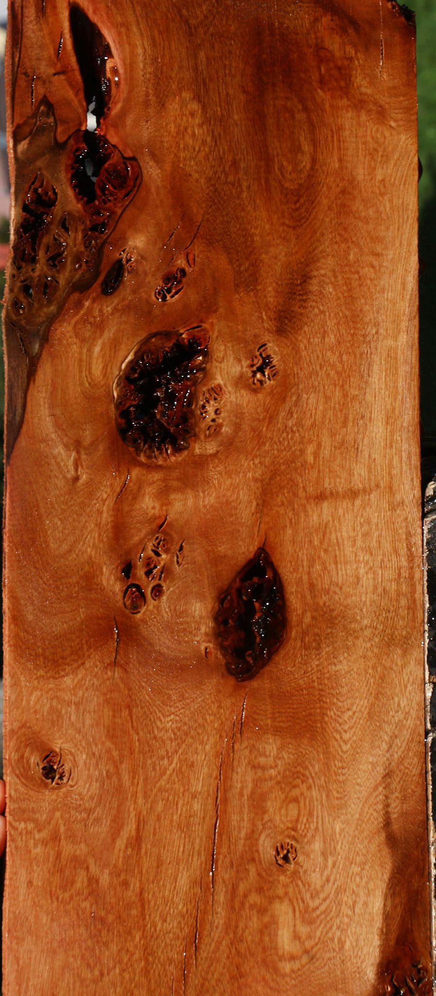 Extra Fancy Rustic Brazilian Pepperwood Lumber