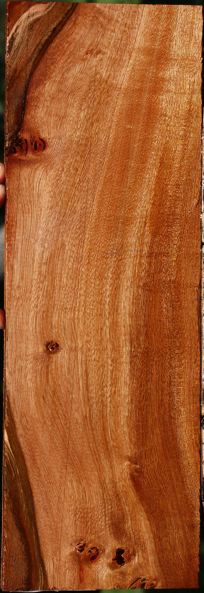 Brazilian Pepperwood Micro Lumber