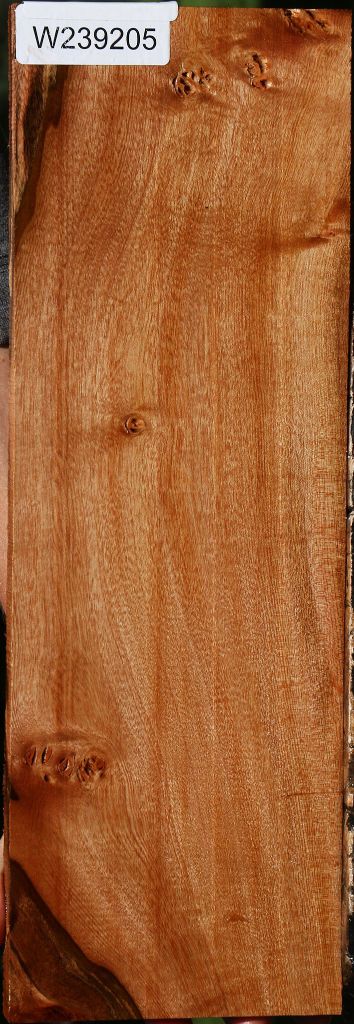 Brazilian Pepperwood Micro Lumber
