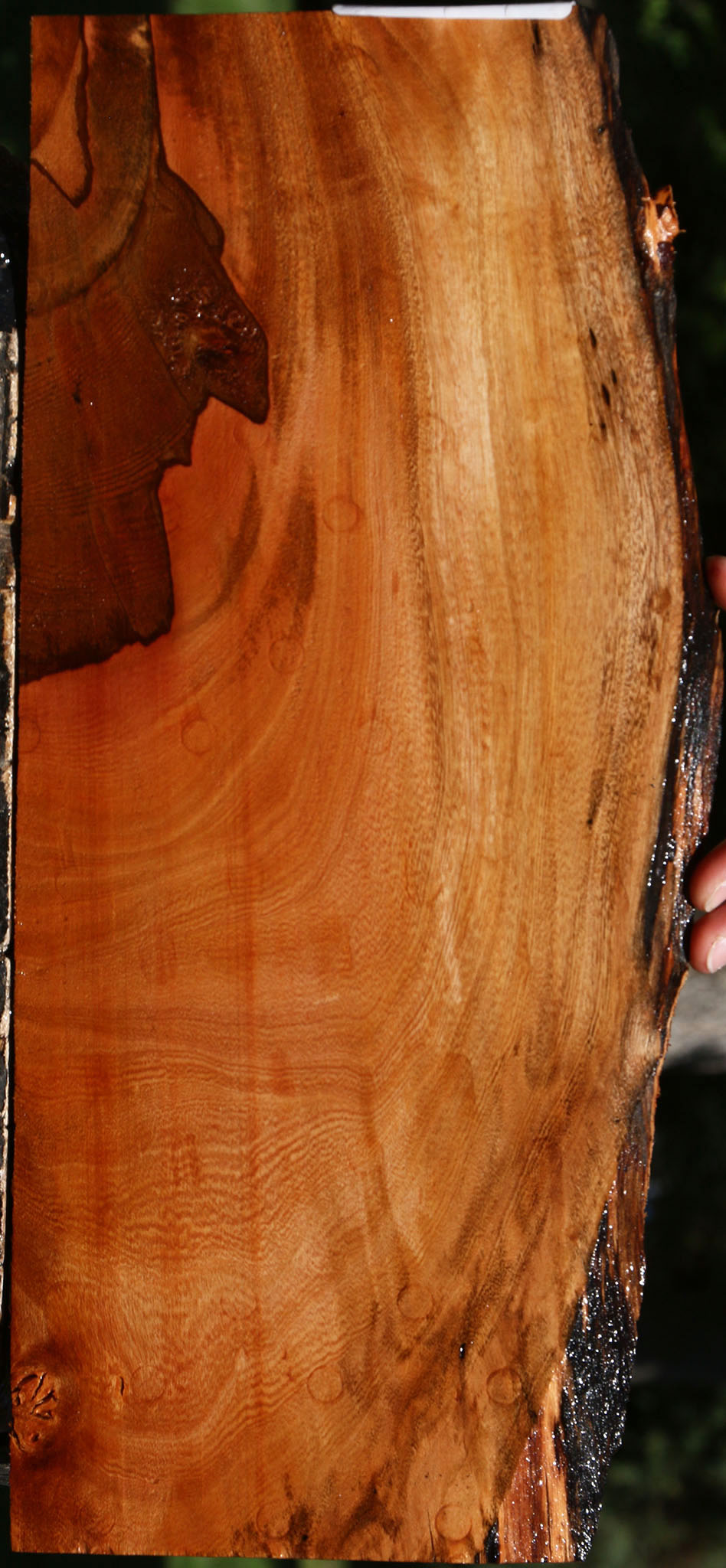 Figured Brazilian Pepperwood Live Edge Micro Lumber