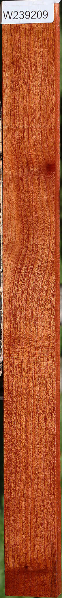 Brazilian Pepperwood Lumber