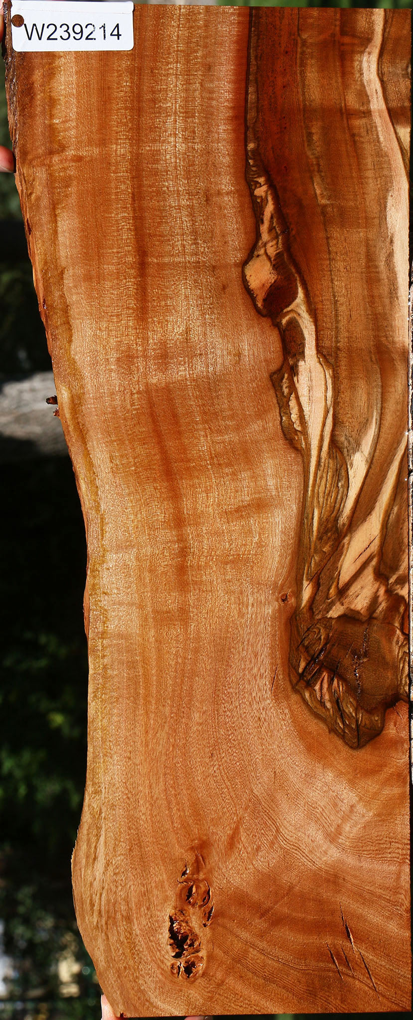 Figured Brazilian Pepperwood Micro Lumber