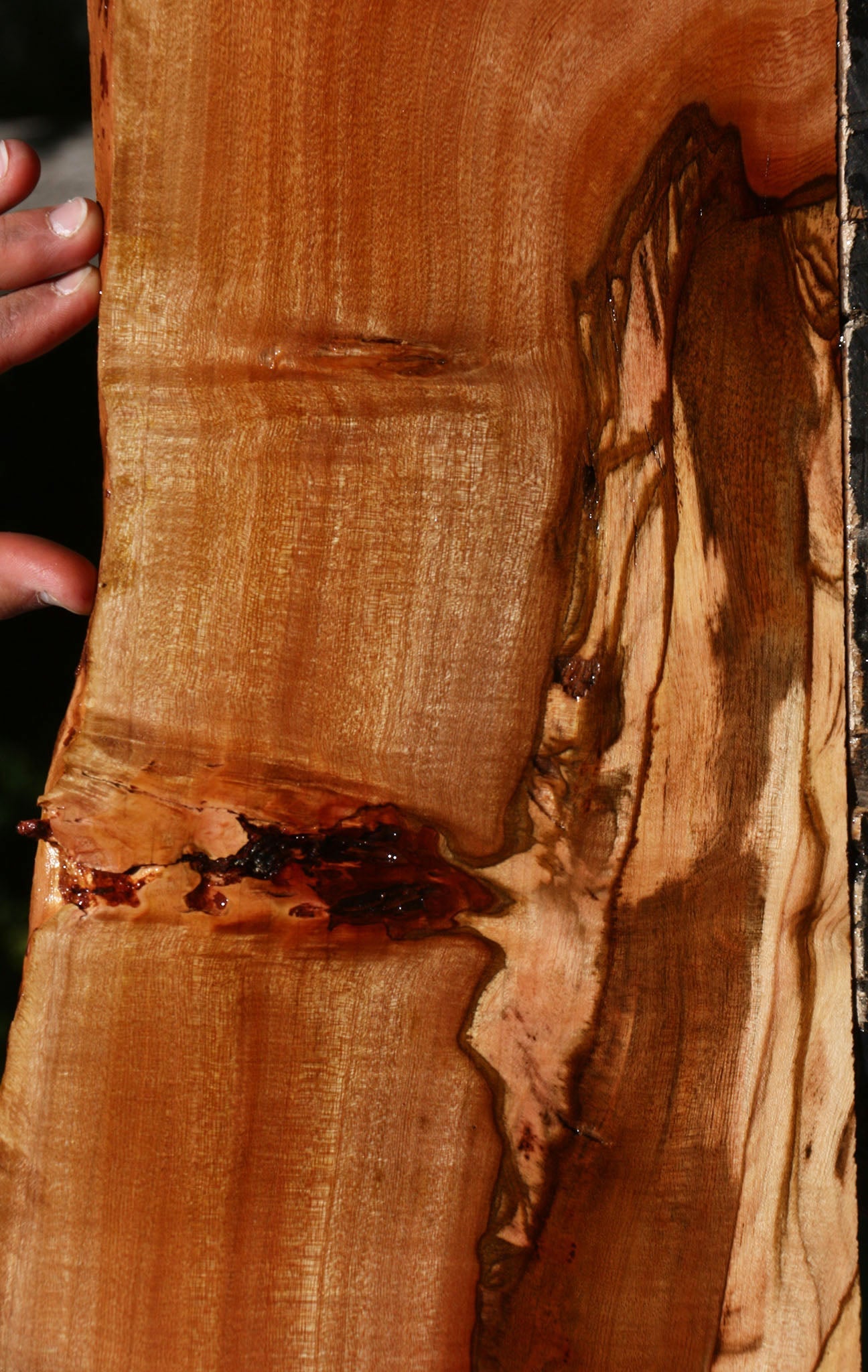 Figured Brazilian Pepperwood Micro Lumber