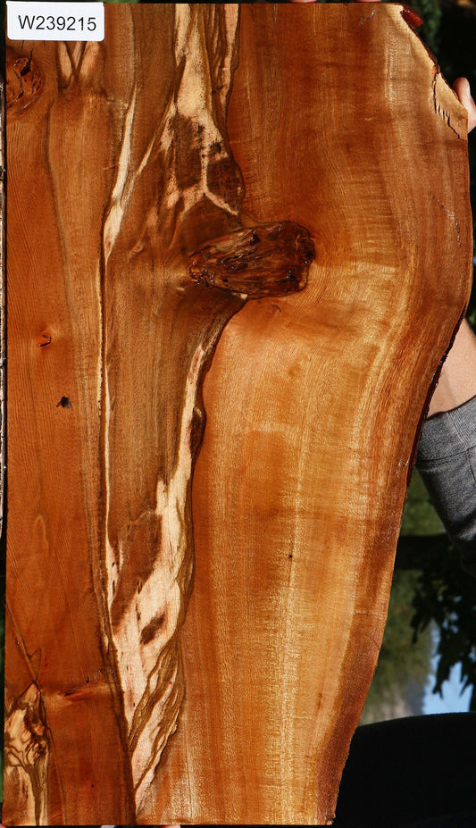 Figured Brazilian Pepperwood Live Edge Micro Lumber