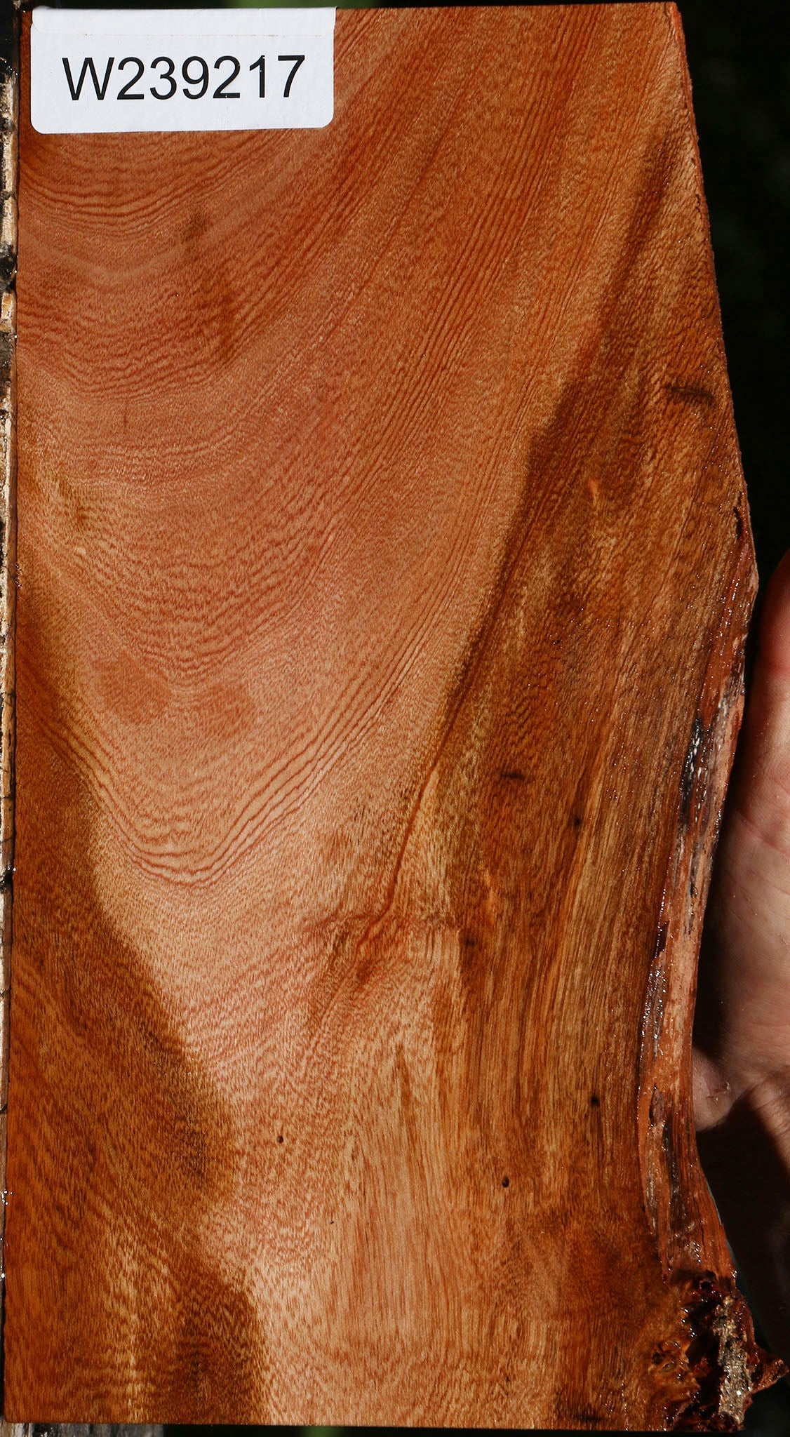 Figured Brazilian Pepperwood Lumber