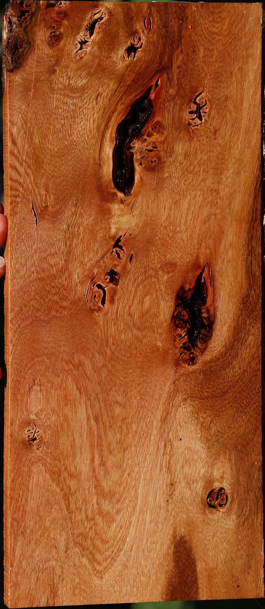 Figured Rustic Brazilian Pepperwood Lumber
