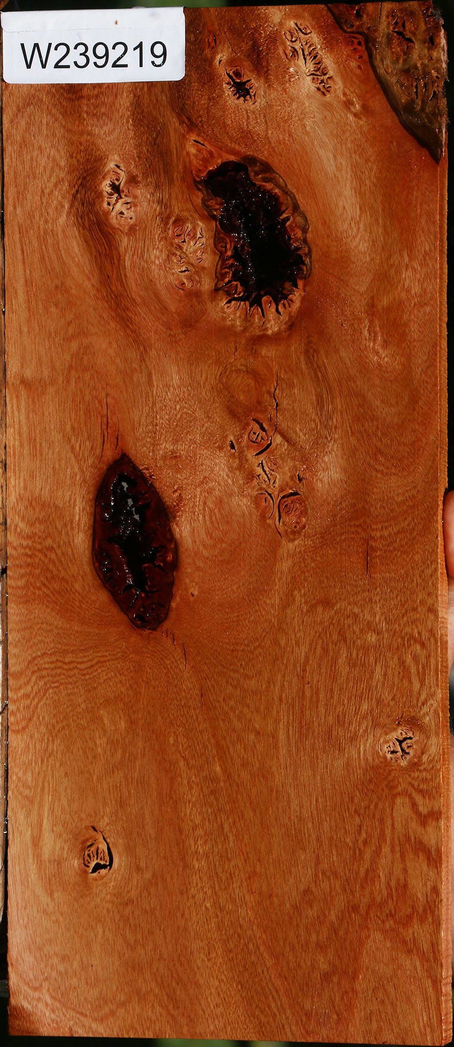 Figured Rustic Brazilian Pepperwood Lumber