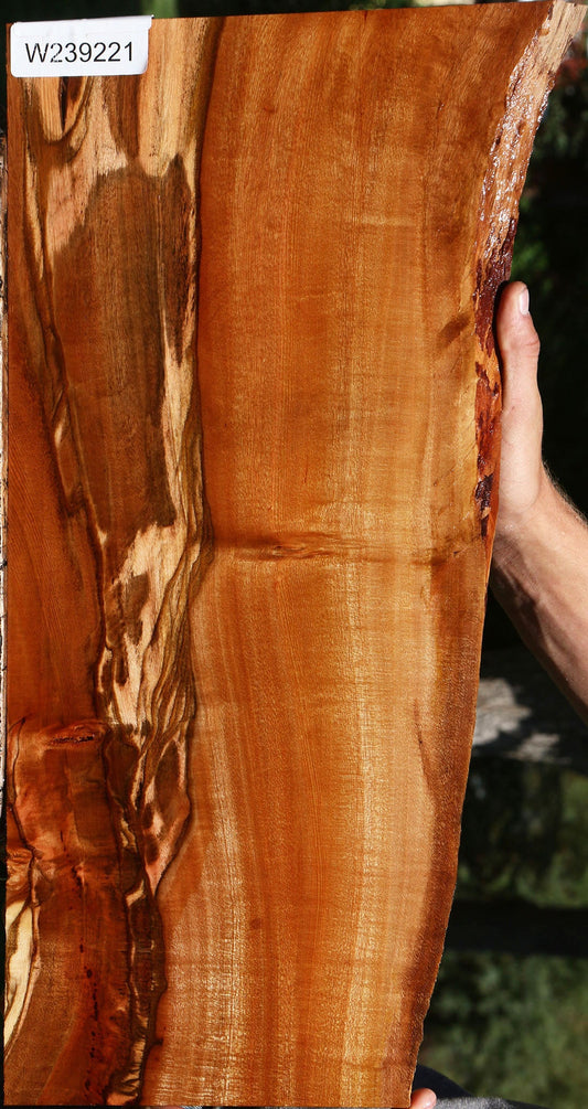 Figured Brazilian Pepperwood Live Edge Micro Lumber