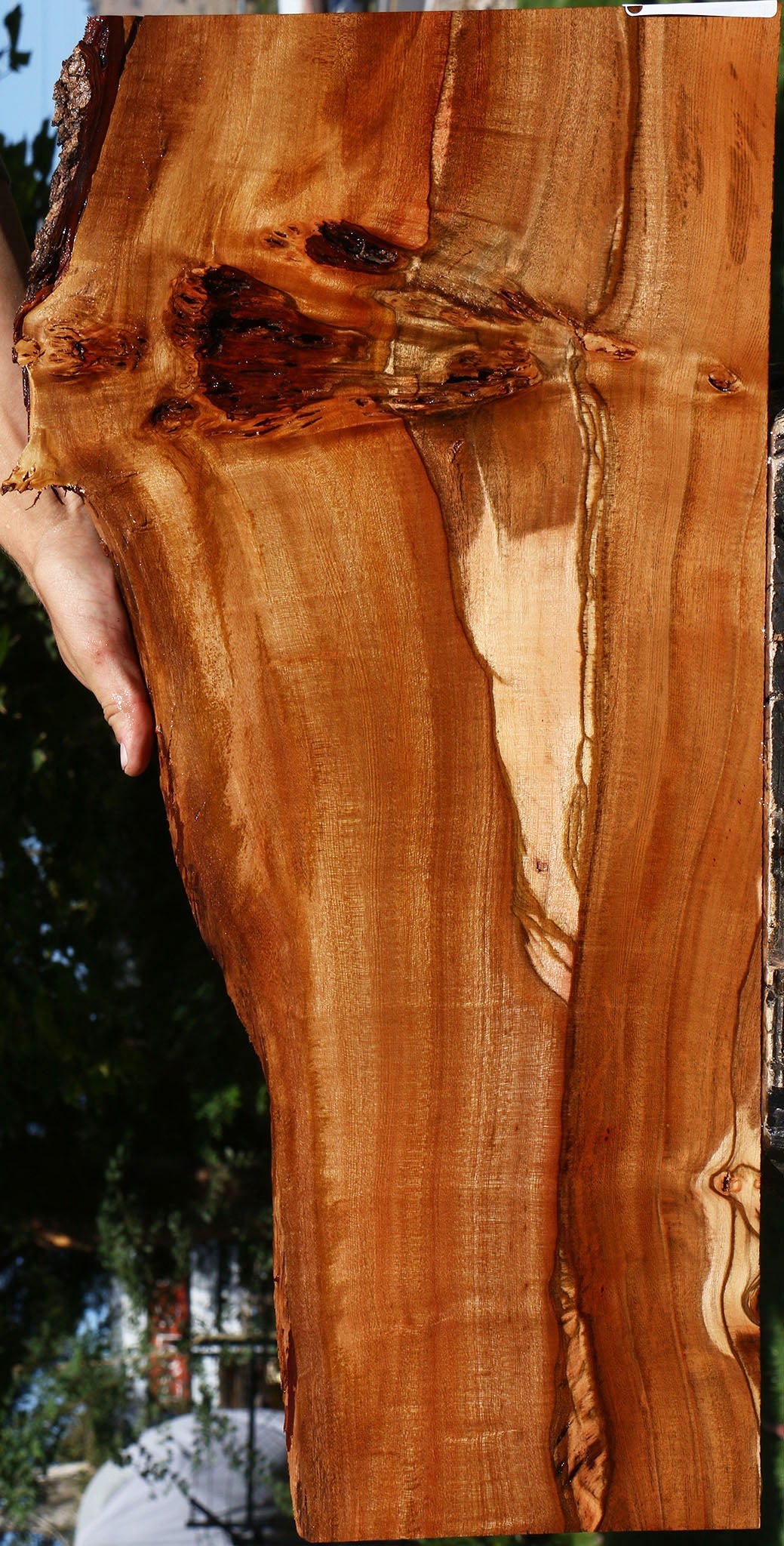 Figured Brazilian Pepperwood Live Edge Micro Lumber