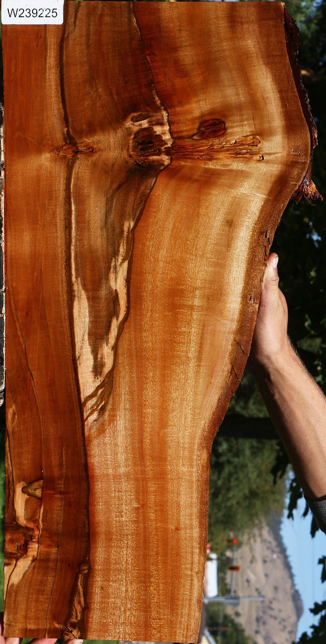 Figured Brazilian Pepperwood Live Edge Micro Lumber