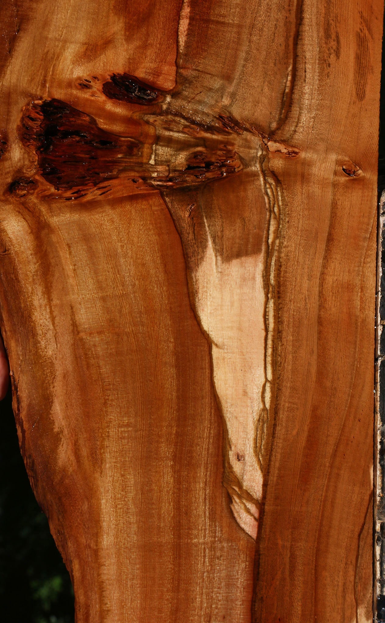 Figured Brazilian Pepperwood Live Edge Micro Lumber