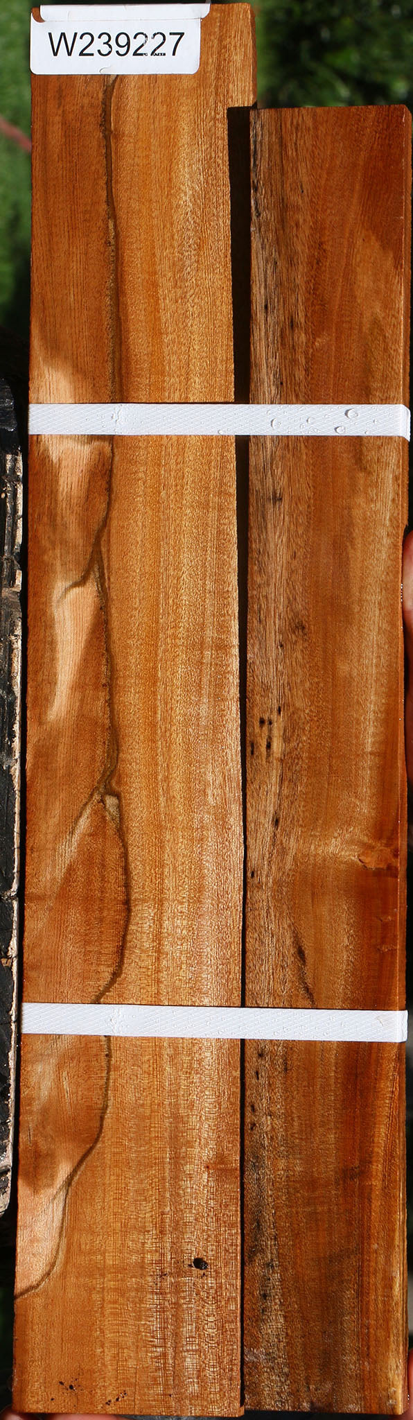 Brazilian Pepperwood Lumber 2 Pack