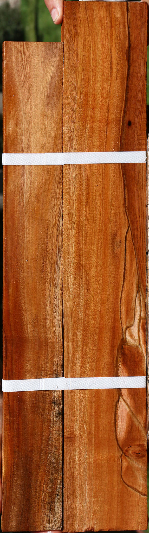 Brazilian Pepperwood Lumber 2 Pack