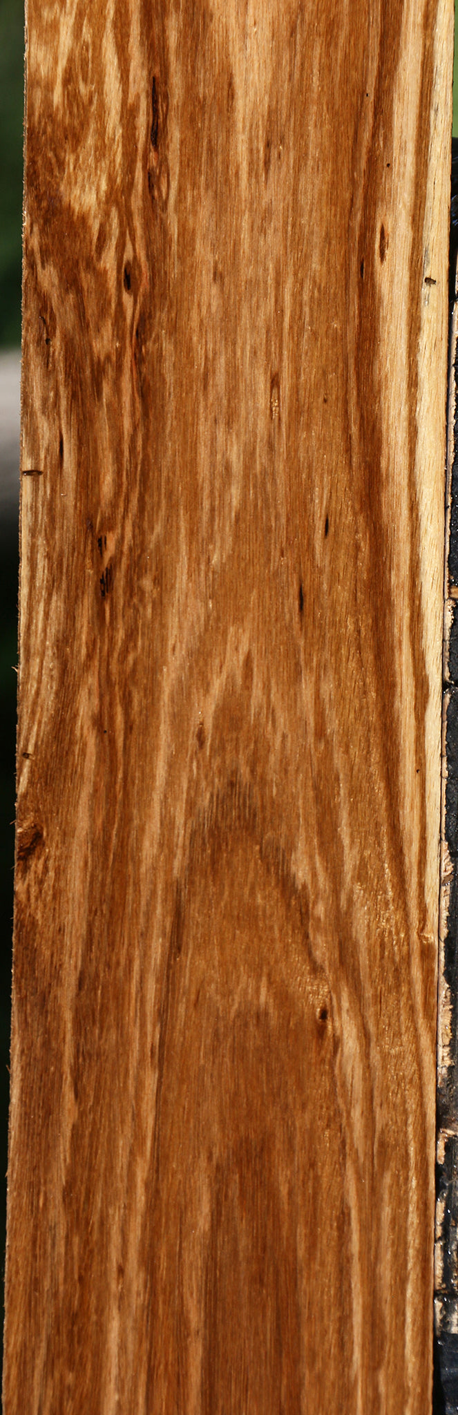 Beli Lumber – Cook Woods