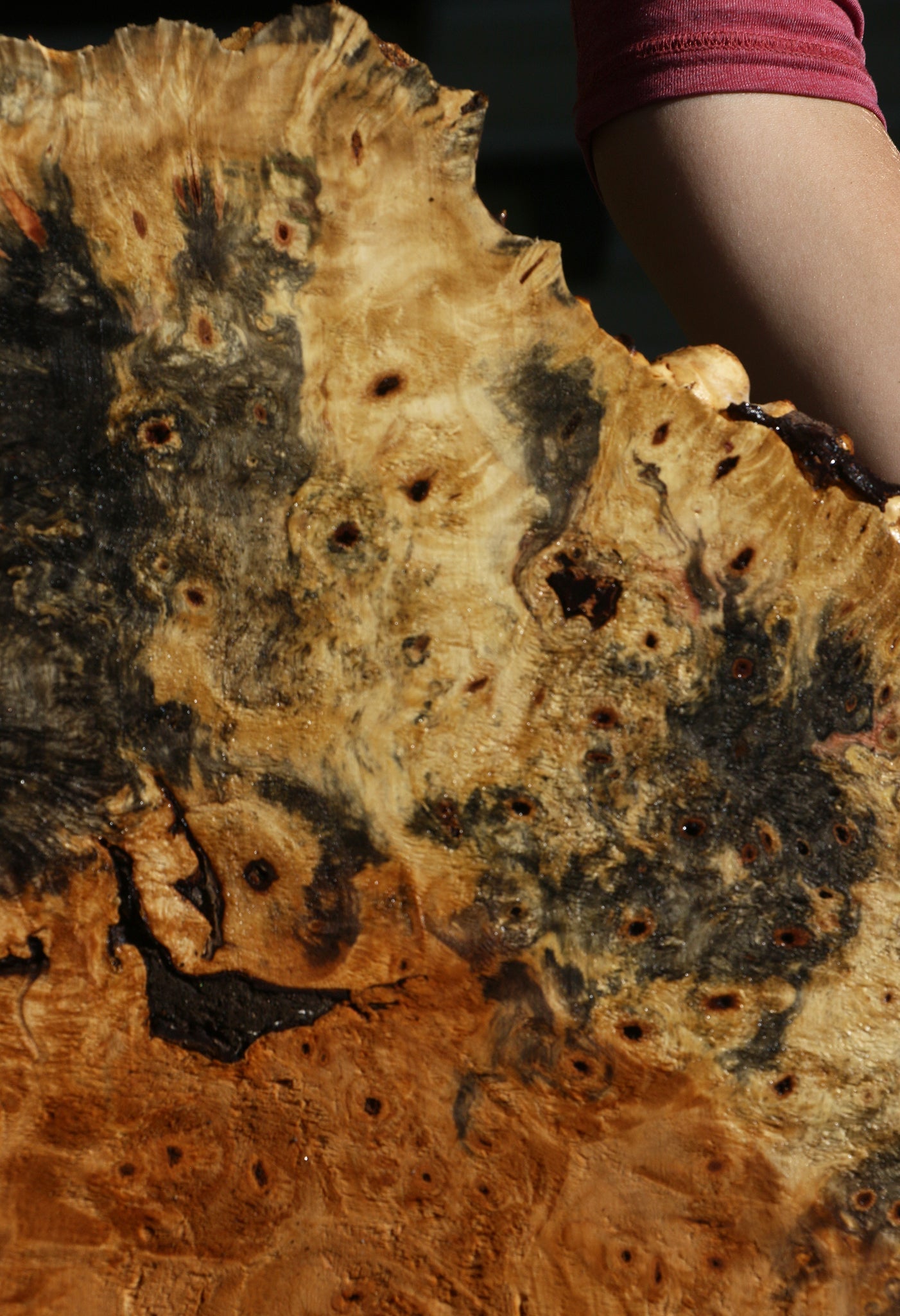 Buckeye Burl Cookie (Free Shipping Excluded)