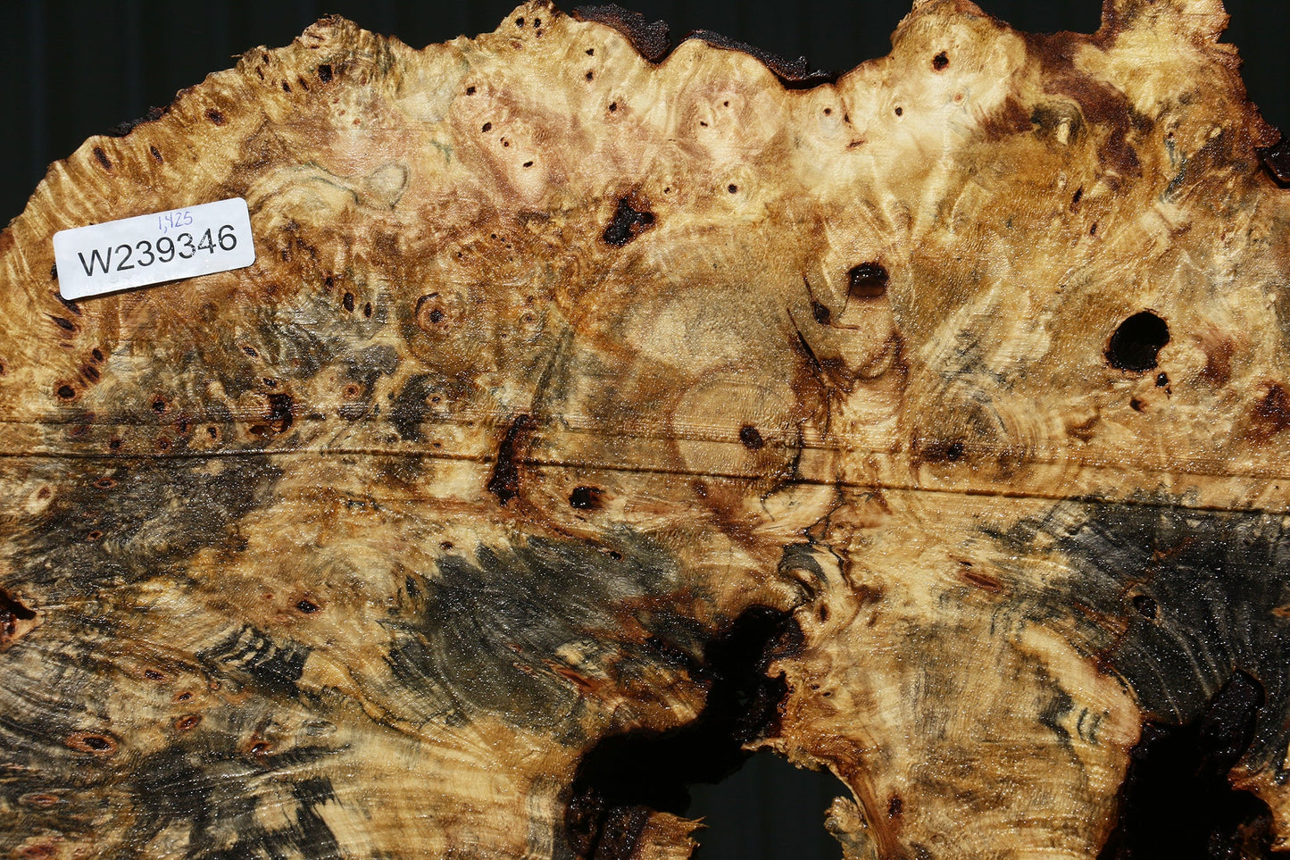 Buckeye Burl Cookie