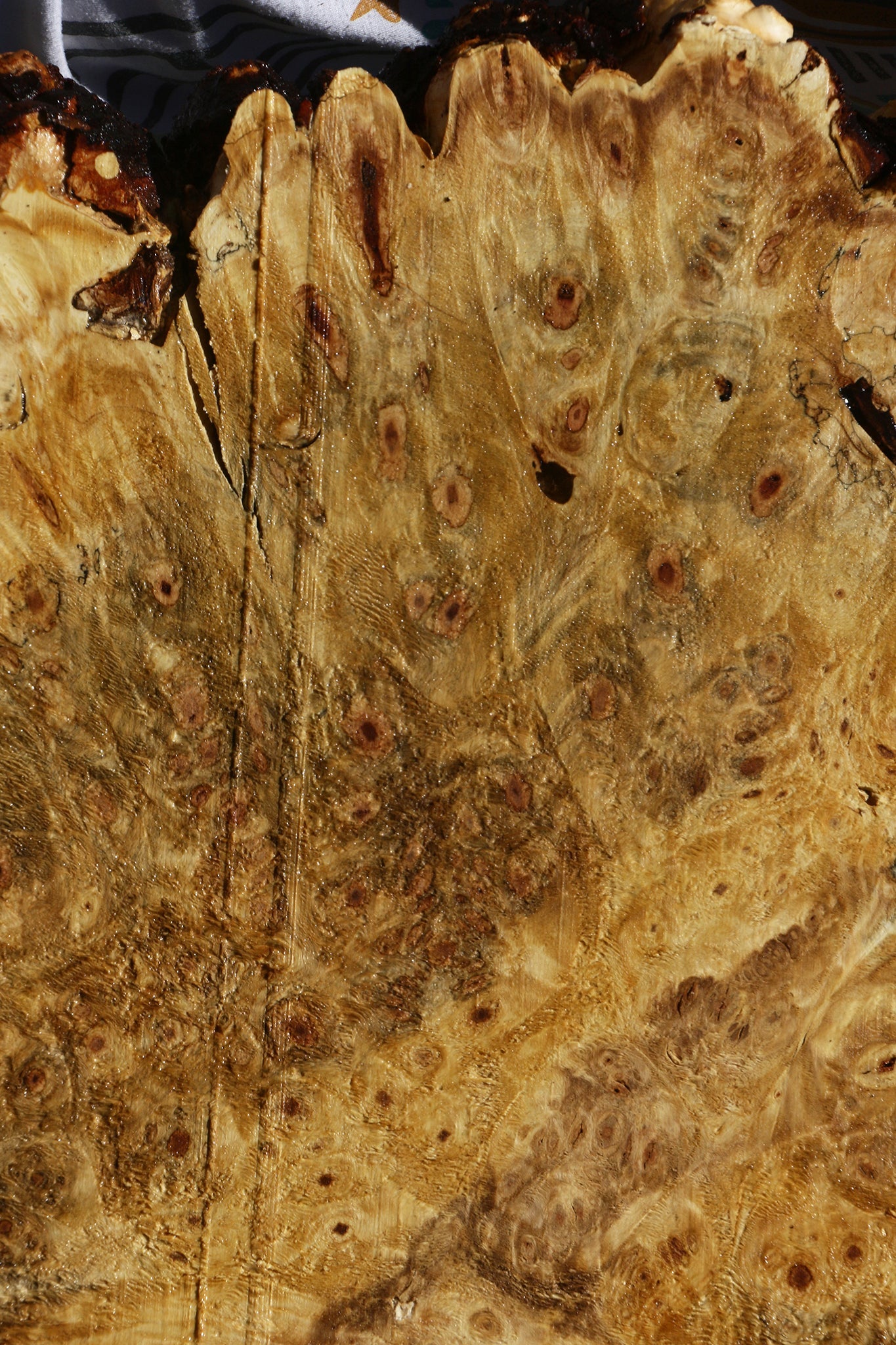 Buckeye Burl Cookie (Free Shipping Excluded)