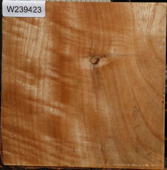 Extra Fancy Modesto Ash Bowl Blank