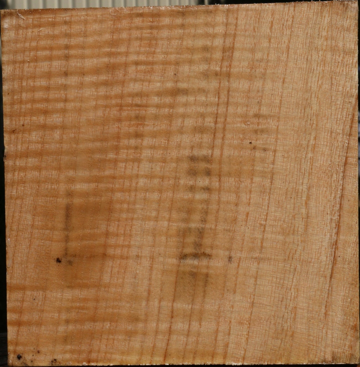 Modesto Ash Bowl Blank