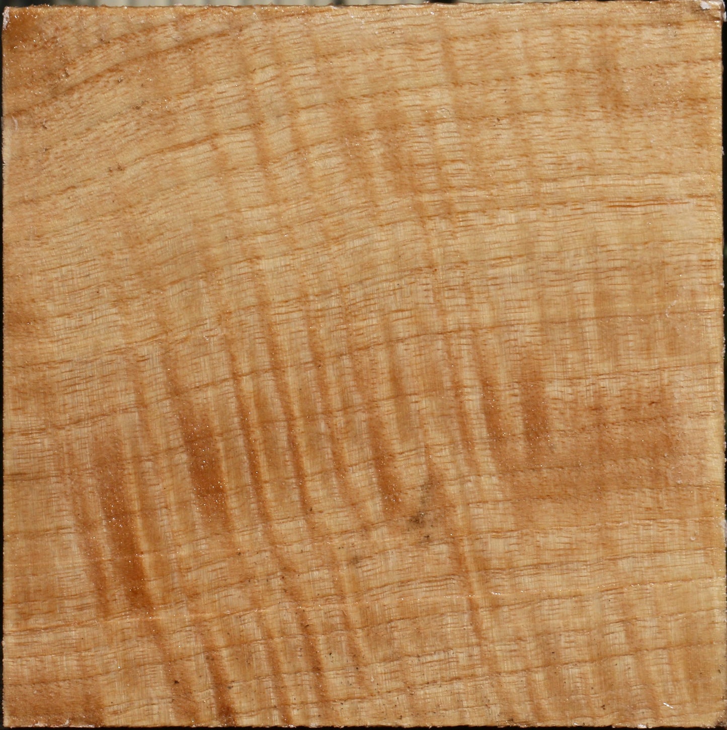 Extra Fancy Modesto Ash Bowl Blank