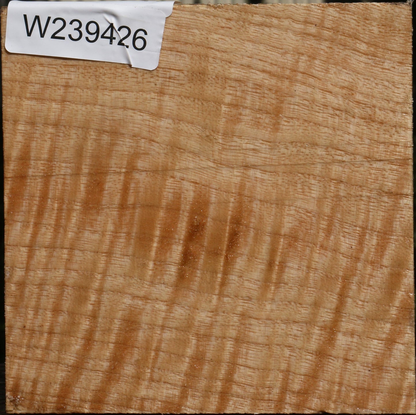 Extra Fancy Modesto Ash Bowl Blank