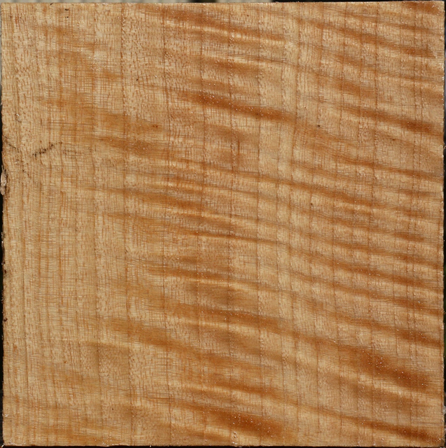 Extra Fancy Modesto Ash Bowl Blank