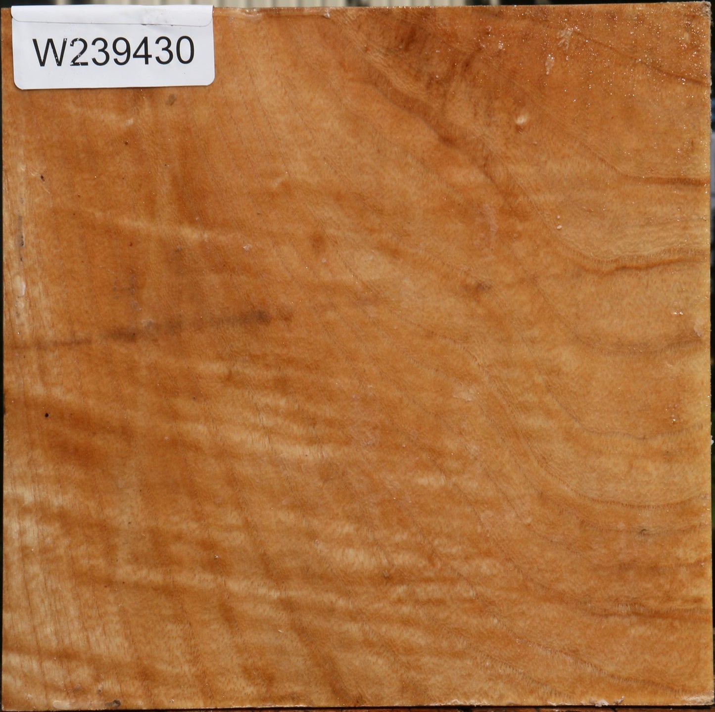 Figured Modesto Ash Bowl Blank