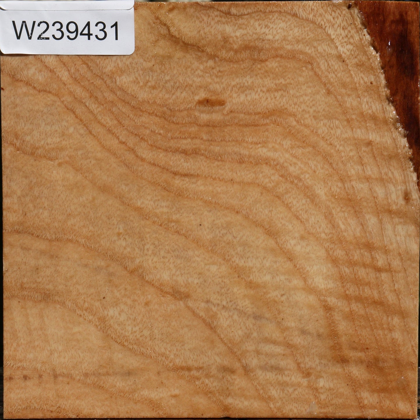 Modesto Ash Bowl Blank