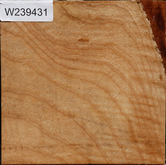 Modesto Ash Bowl Blank