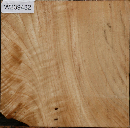 Modesto Ash Bowl Blank