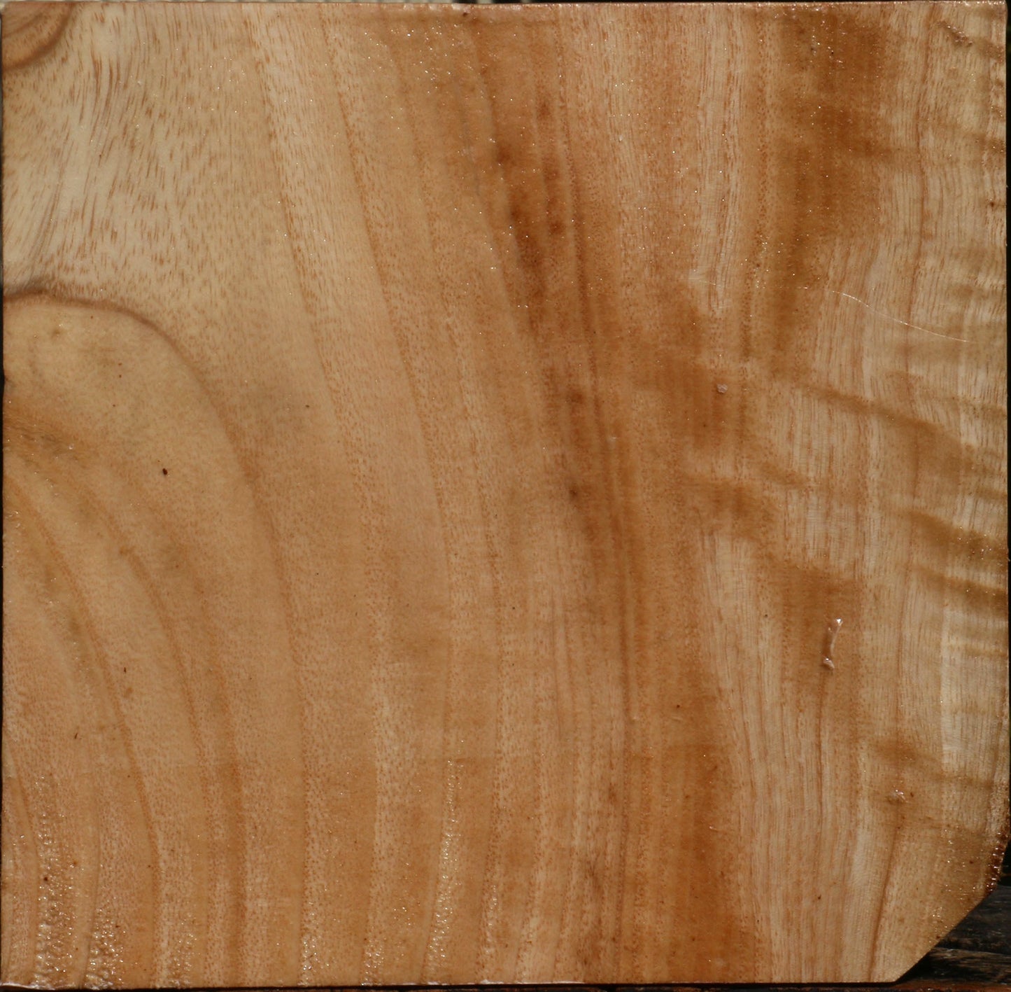 Modesto Ash Bowl Blank