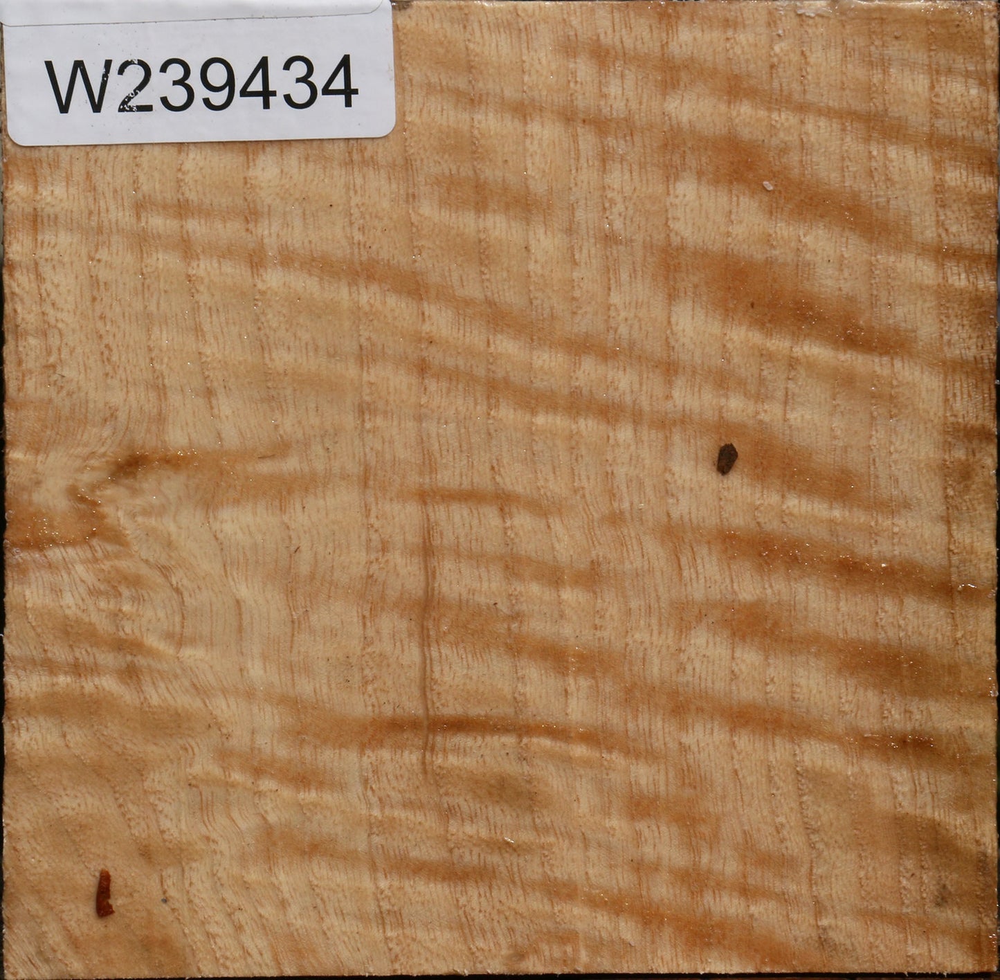 Extra Fancy Modesto Ash Bowl Blank