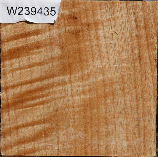 Figured Modesto Ash Bowl Blank