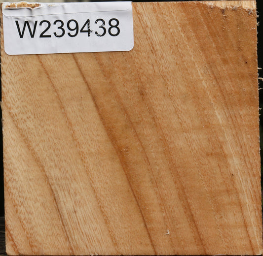 Figured Modesto Ash Bowl Blank