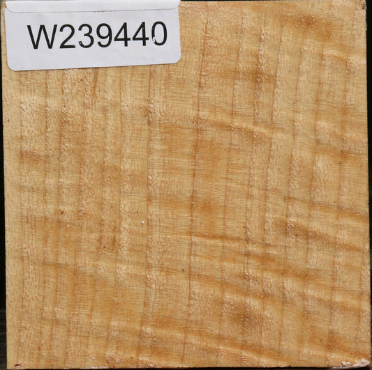 Extra Fancy Modesto Ash Bowl Blank