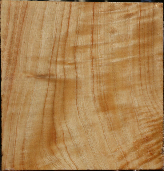 Extra Fancy Modesto Ash Bowl Blank