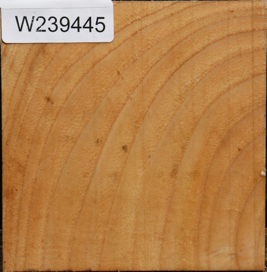 Modesto Ash Bowl Blank