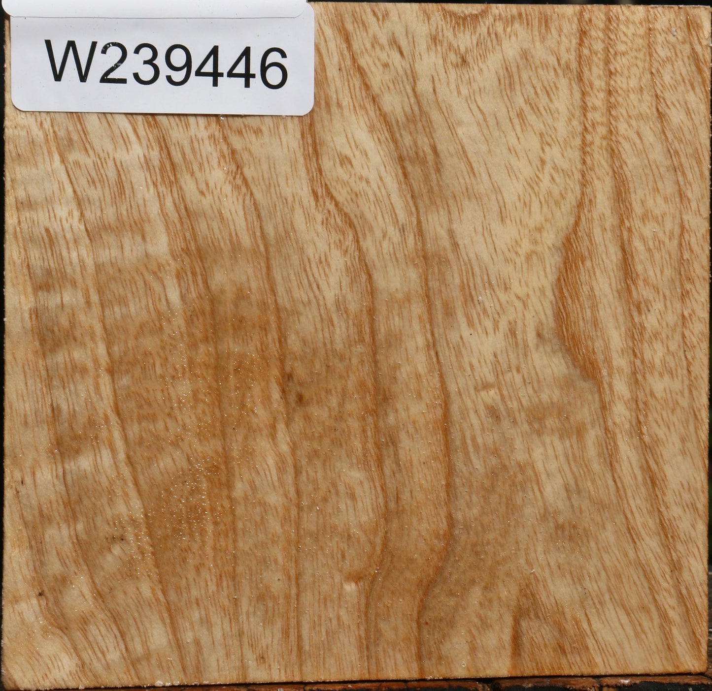 Extra Fancy Modesto Ash Bowl Blank