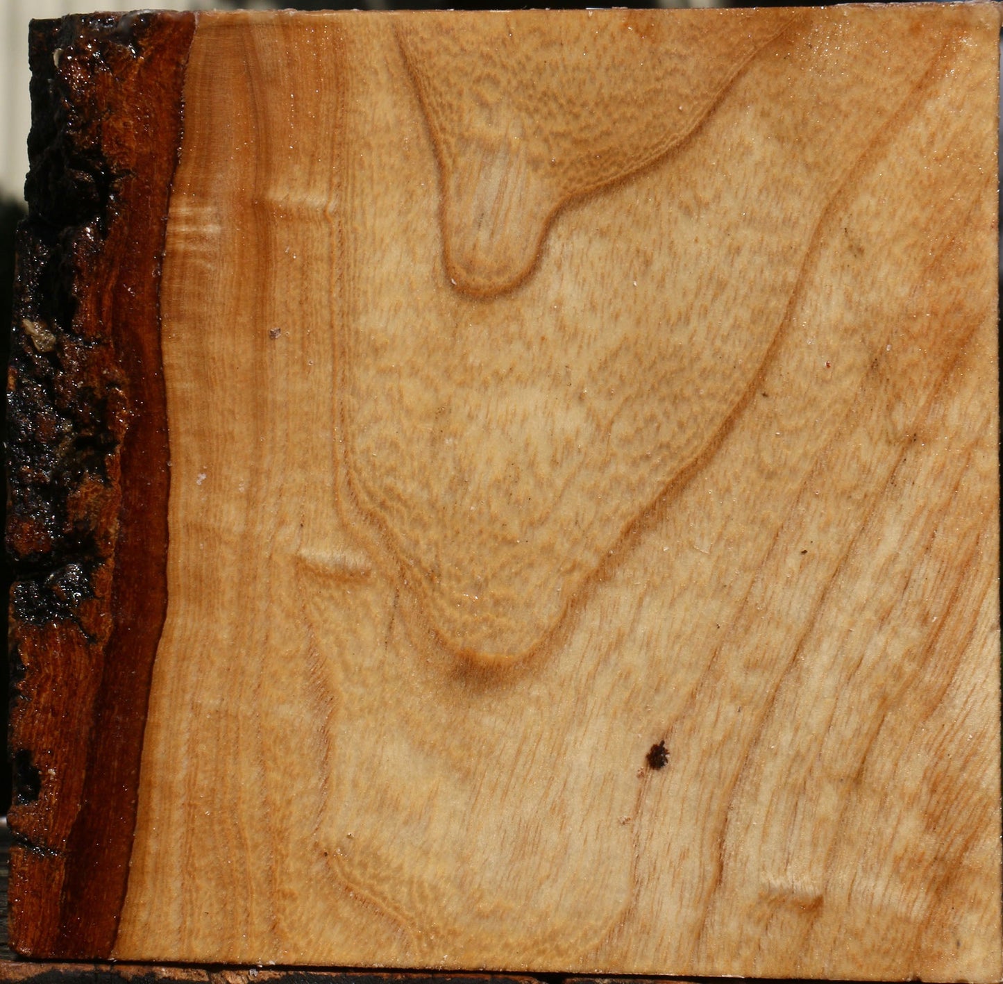 Extra Fancy Modesto Ash Bowl Blank