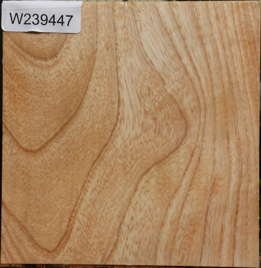 Figured Modesto Ash Bowl Blank