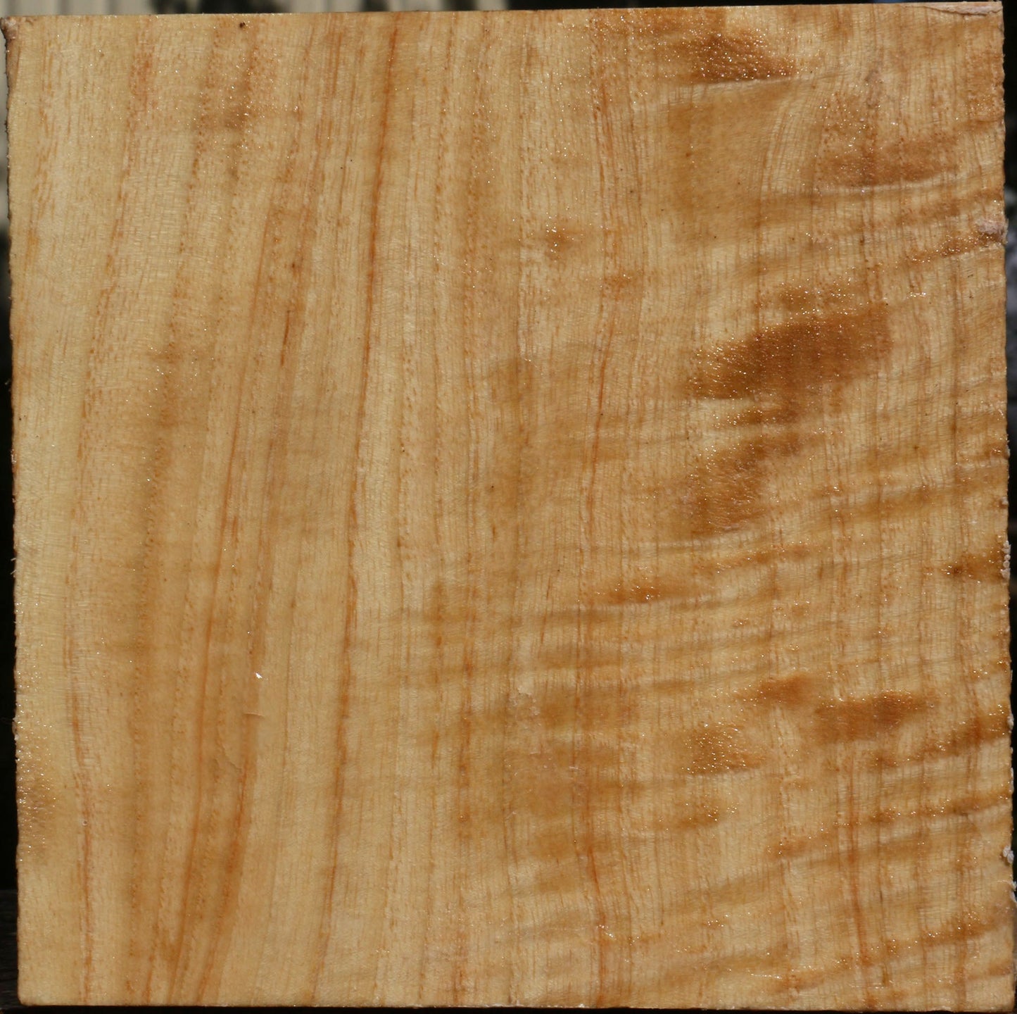 Modesto Ash Bowl Blank