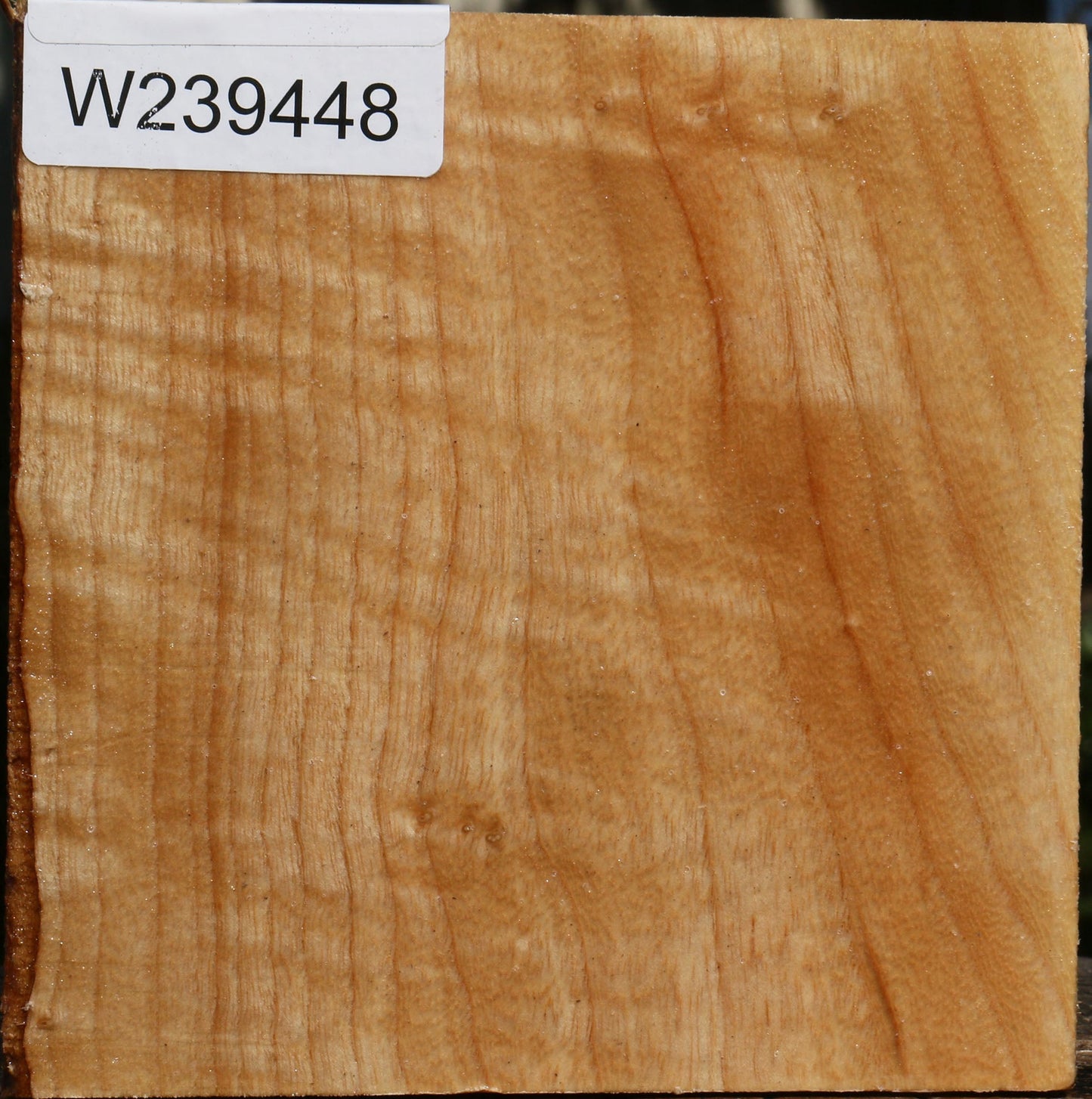 Modesto Ash Bowl Blank