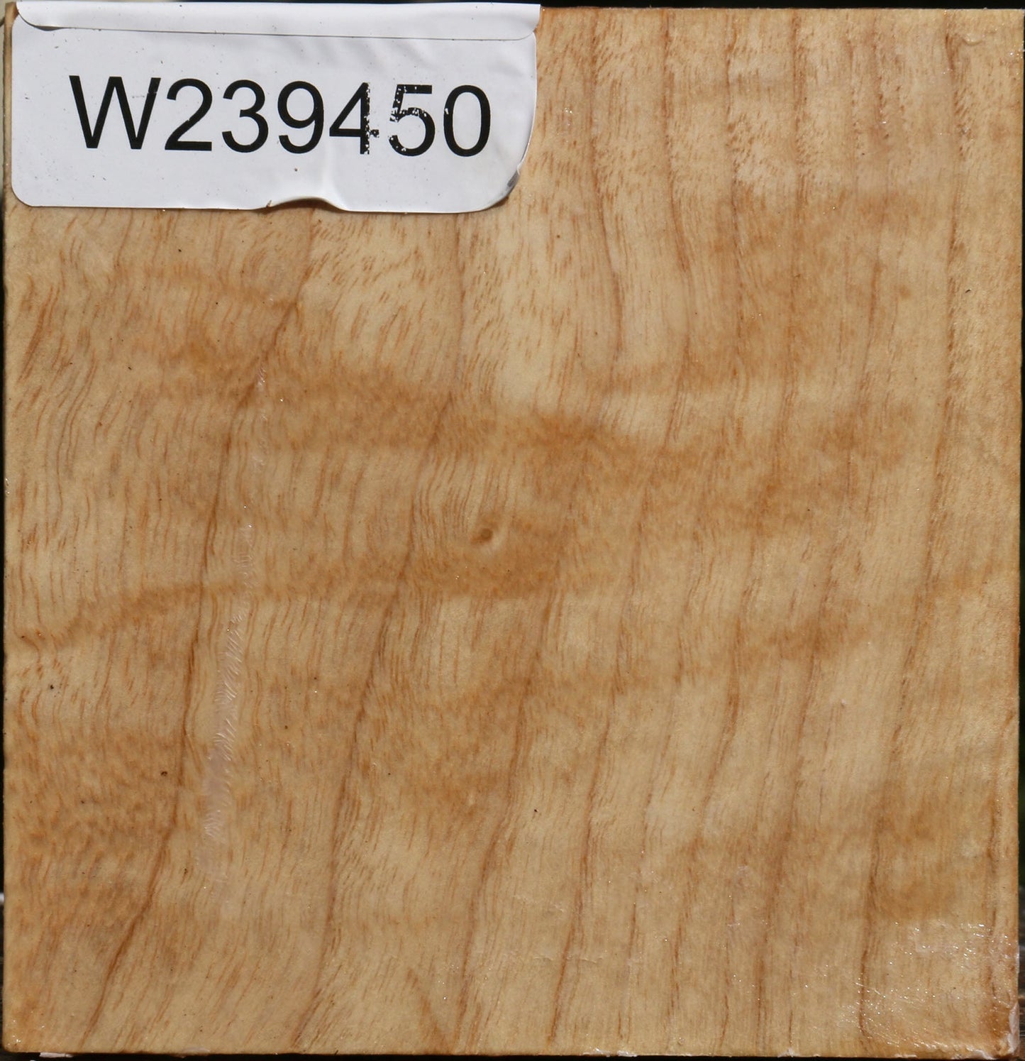 Figured Modesto Ash Bowl Blank