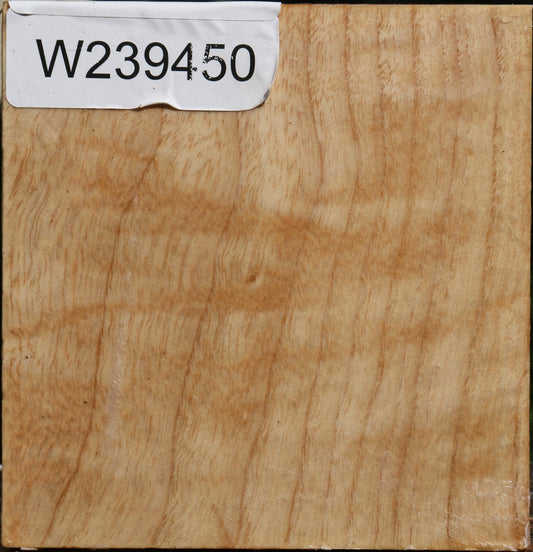 Figured Modesto Ash Bowl Blank