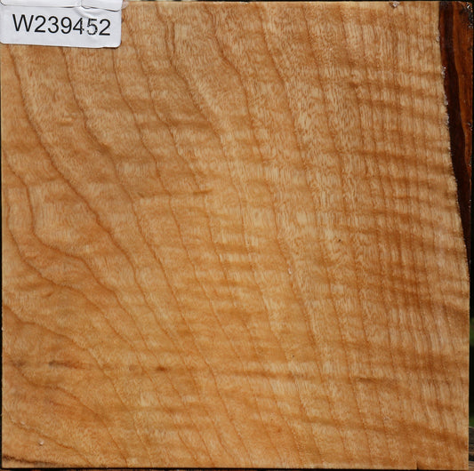 Figured Modesto Ash Bowl Blank