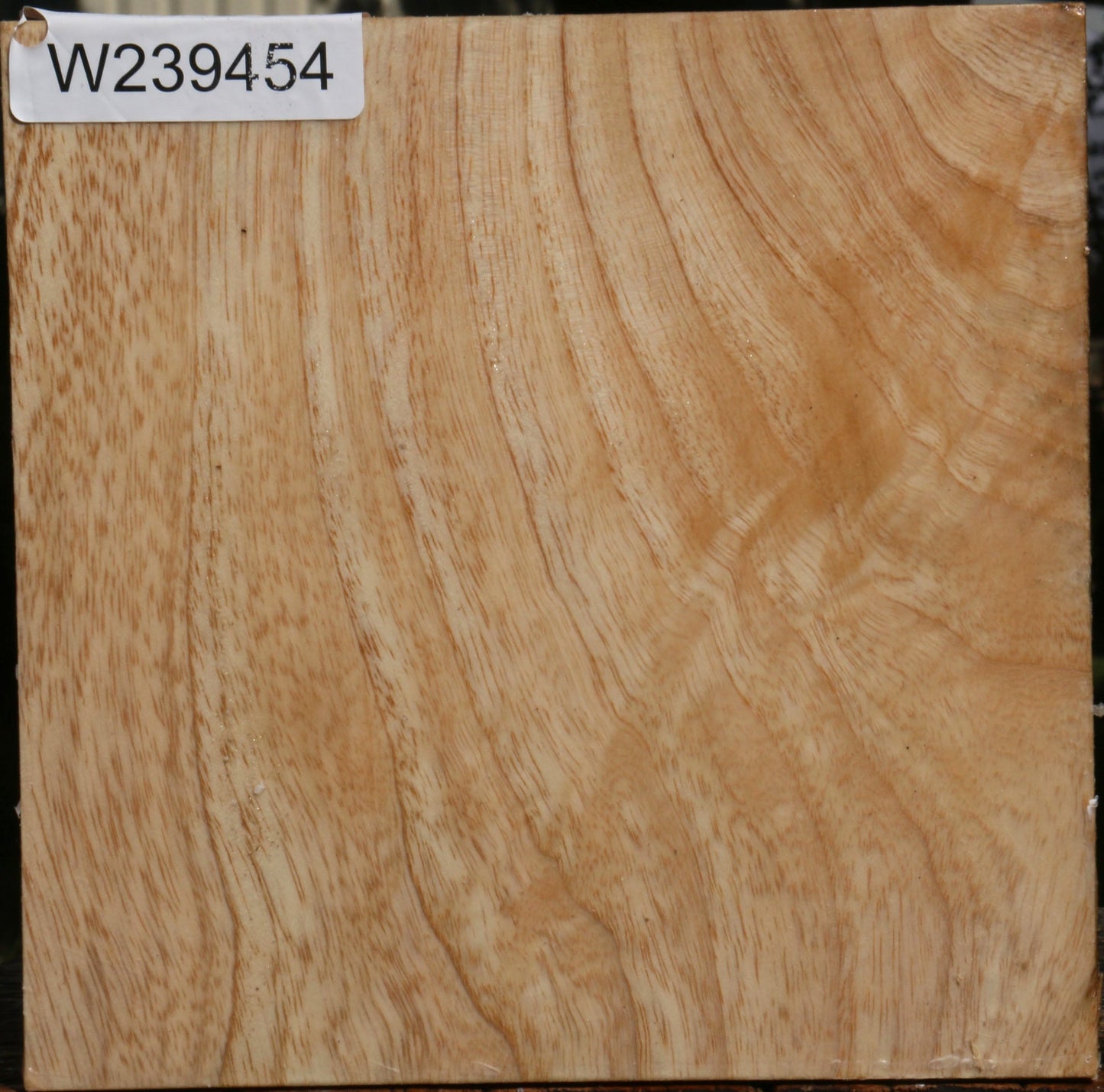 Extra Fancy Modesto Ash Bowl Blank